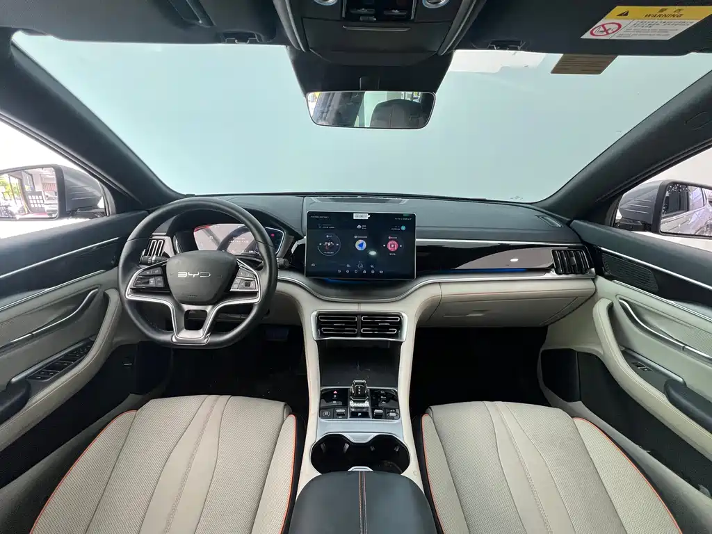 BYD PLUS New Energy 2023 — фото 20