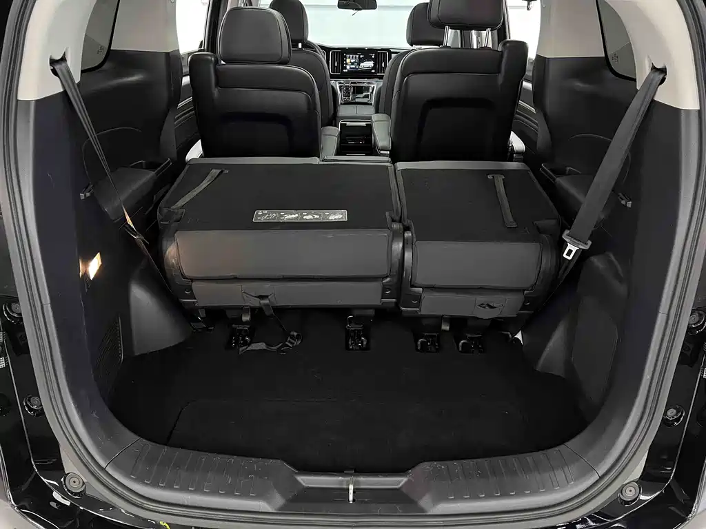 GAC Motor Trumpchi M8 2023 — фото 17