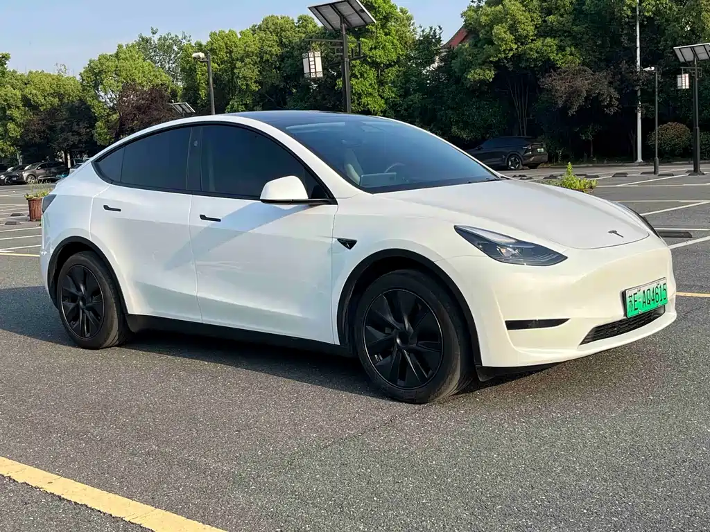 Tesla Model Y 2024 — фото 3