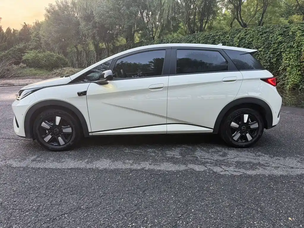 BYD Dolphin 2025