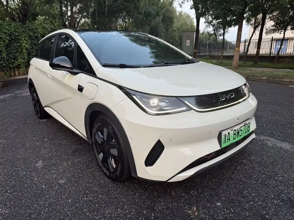 BYD Dolphin 2025