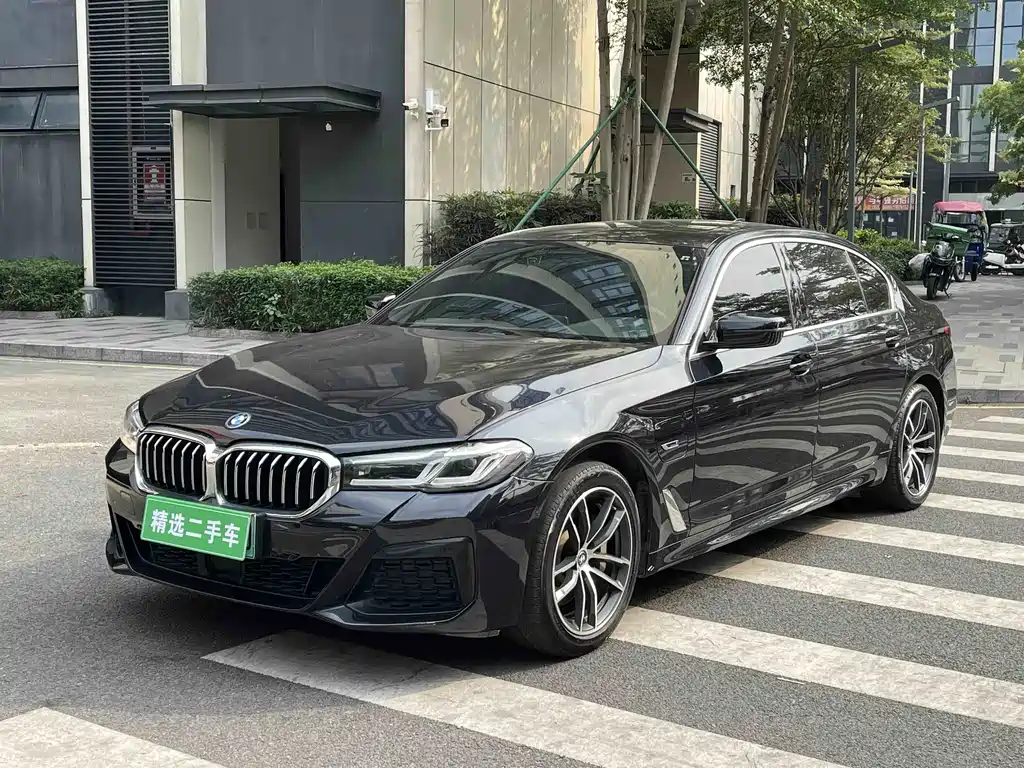 BMW 5 Series New Energy 2021