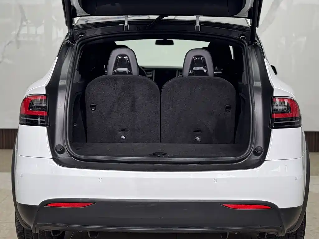 Tesla Model X 2016 — фото 22