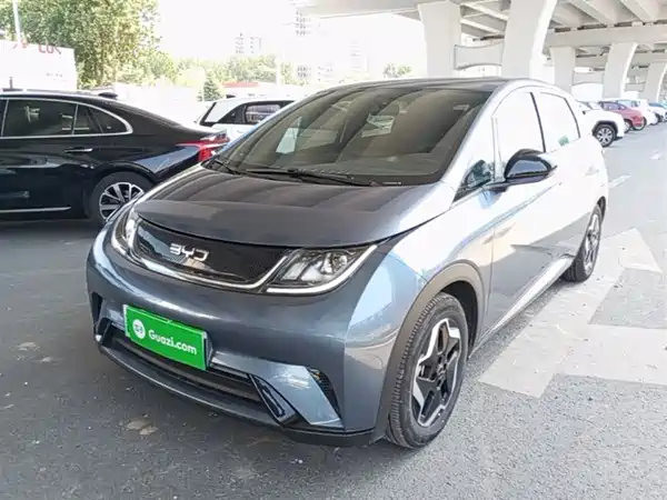BYD Dolphin 2025