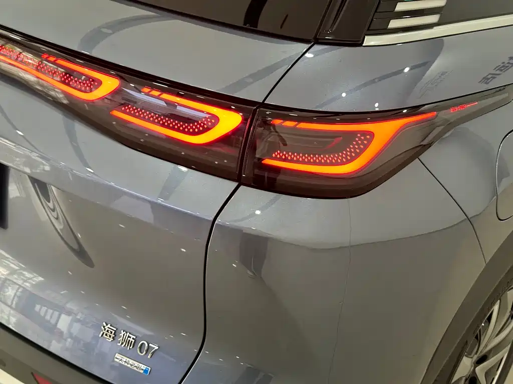 BYD Sealion 07 DM-i 2025 — фото 6