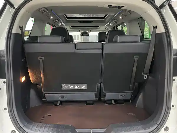 GAC Trumpchi M8 2020