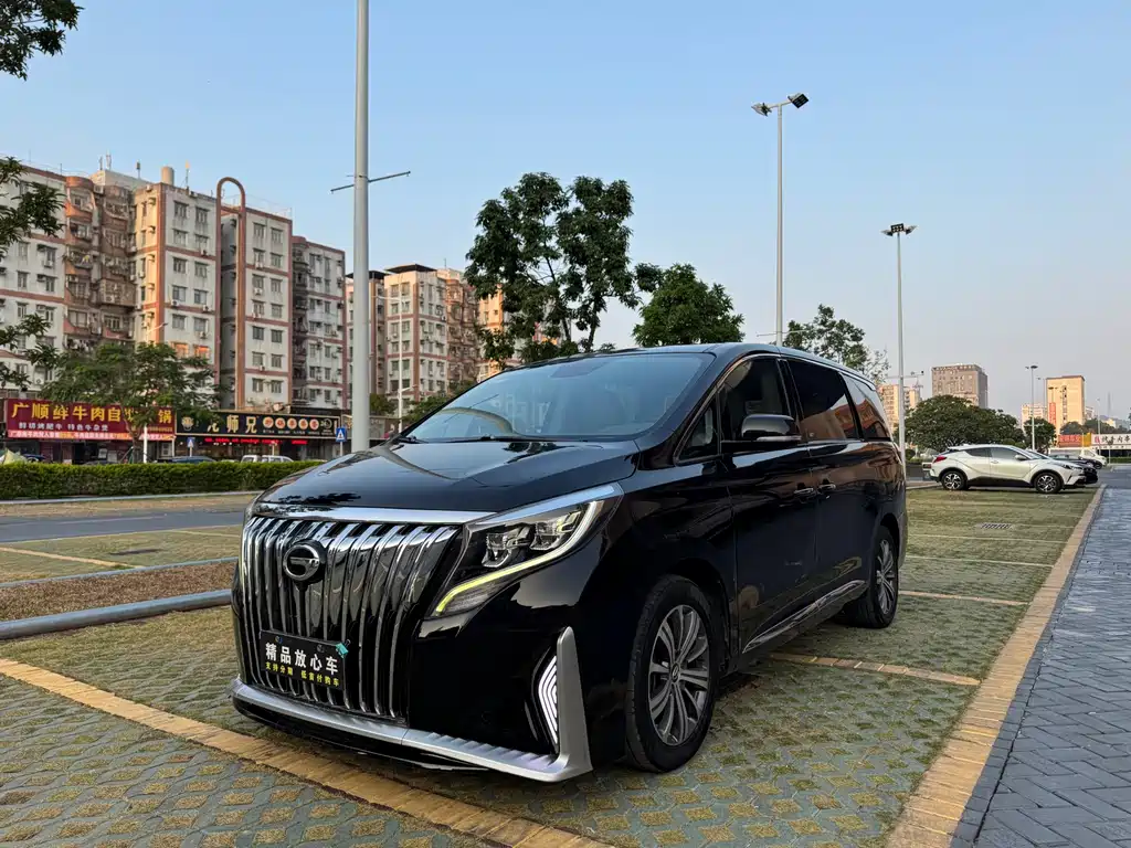 GAC Motor Trumpchi M8 2019 — фото 1