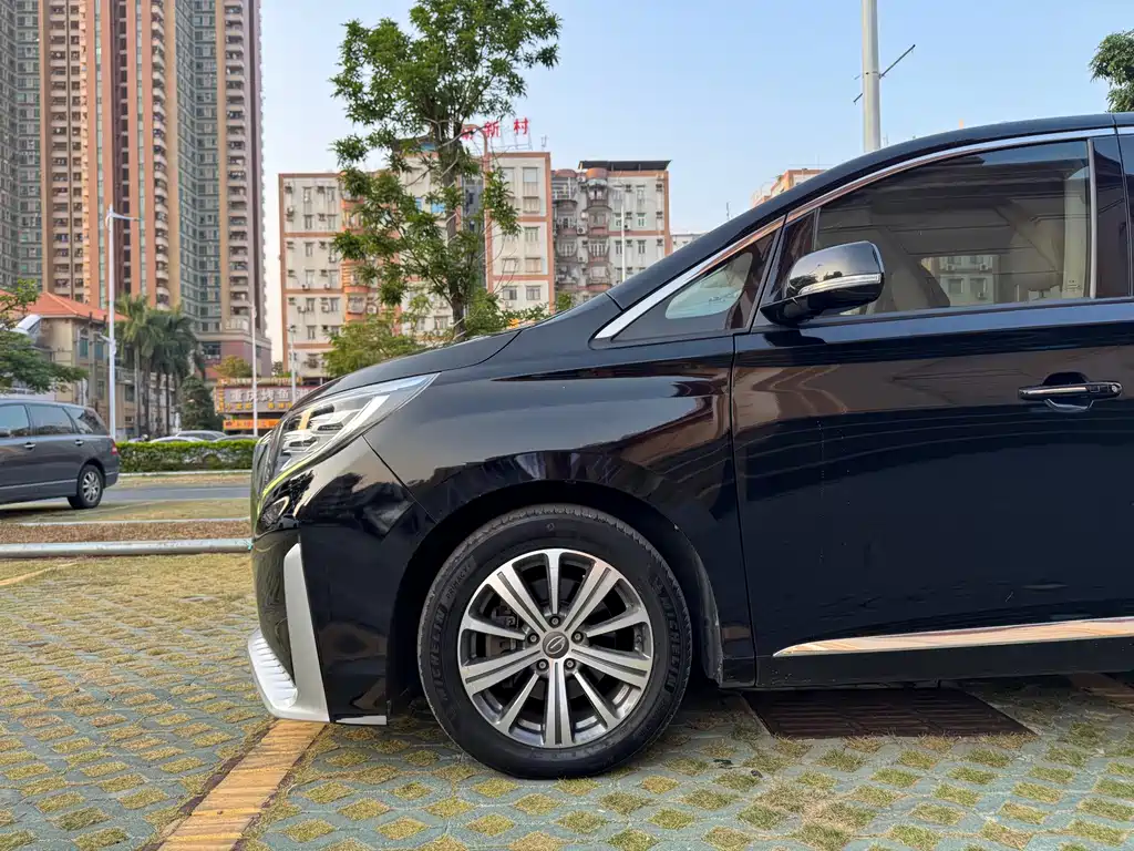 GAC Motor Trumpchi M8 2019 — фото 8