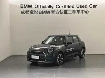 MINI MINI 2024