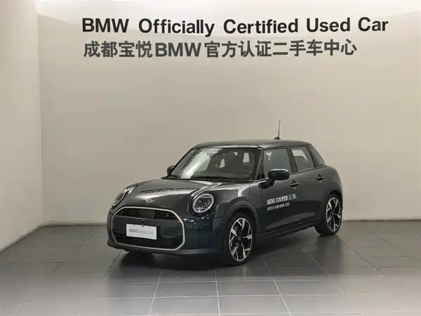 MINI MINI 2024