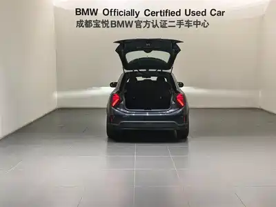 MINI MINI 2024