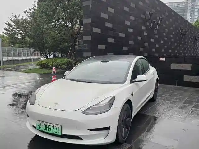 Tesla Model 3 2021 — фото 2