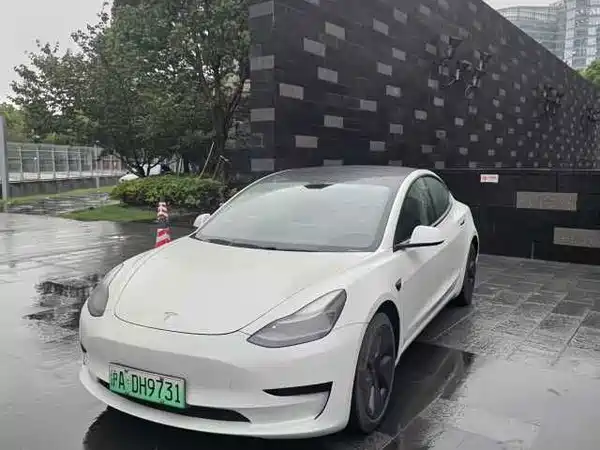 Tesla Model 3 2021