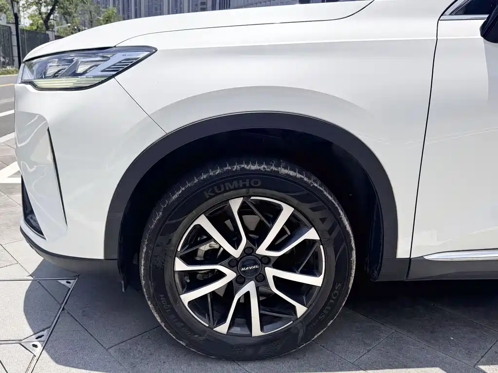 Haval H6 2022 — фото 25