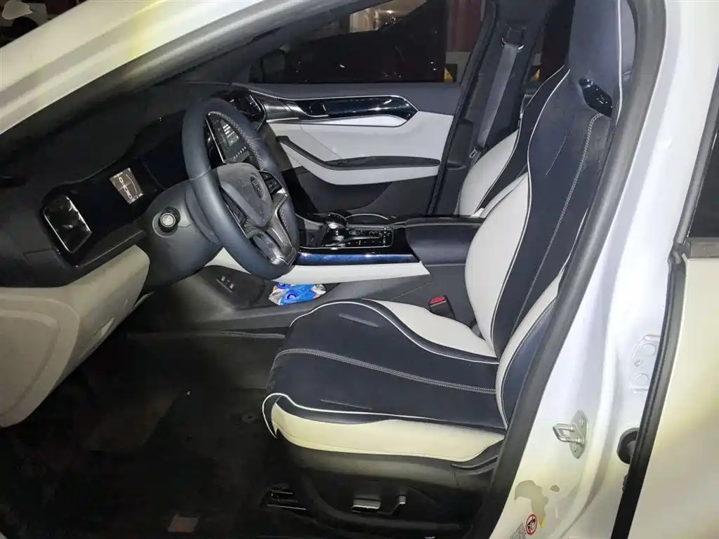 BYD Qin PLUS 2022 — фото 11