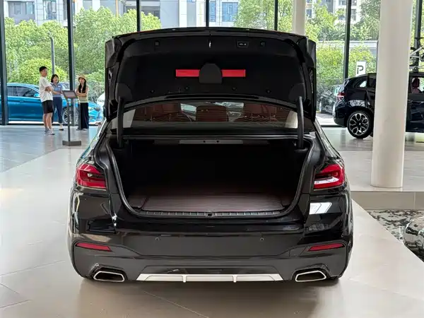 BMW 5 Series New Energy 2022