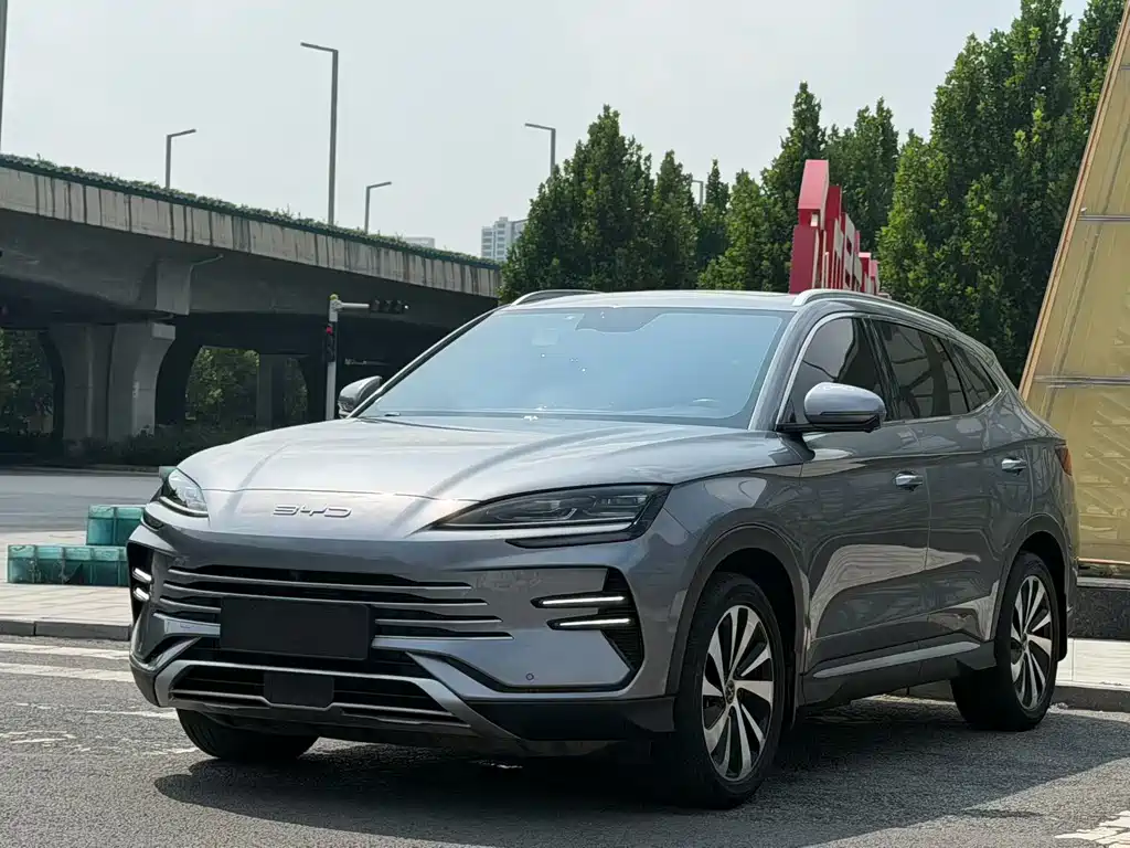 BYD Song PLUS New Energy 2024 — фото 1