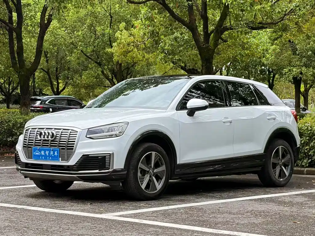 Audi Q2L E-Tron 2021