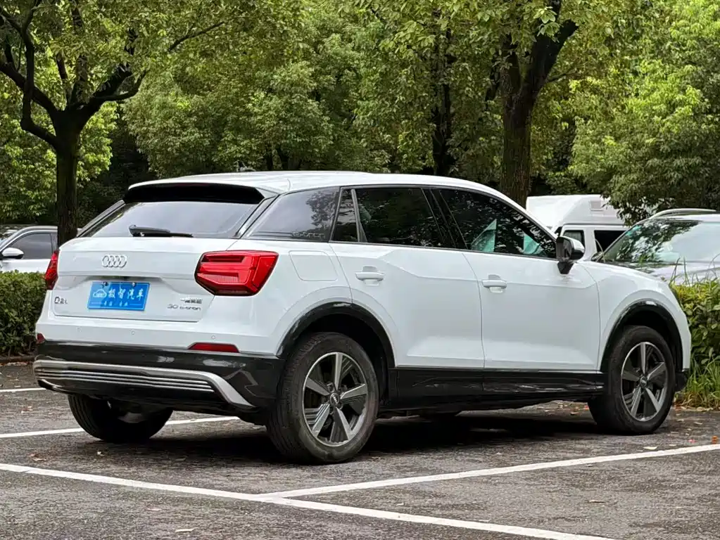 Audi Q2L E-Tron 2021