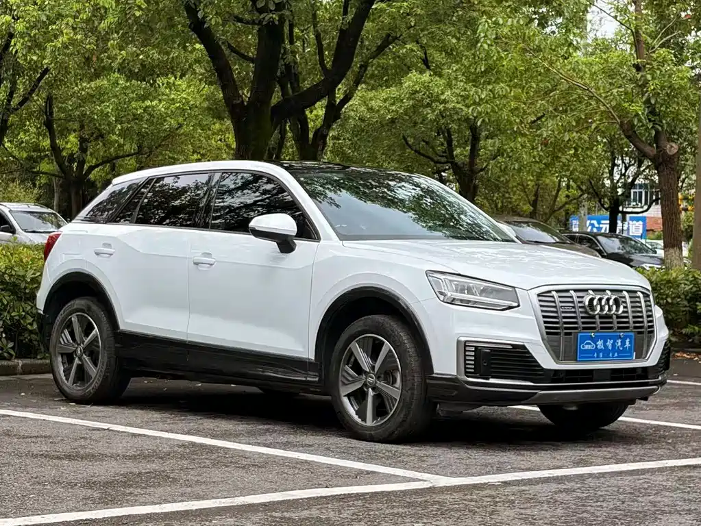 Audi Q2L E-Tron 2021
