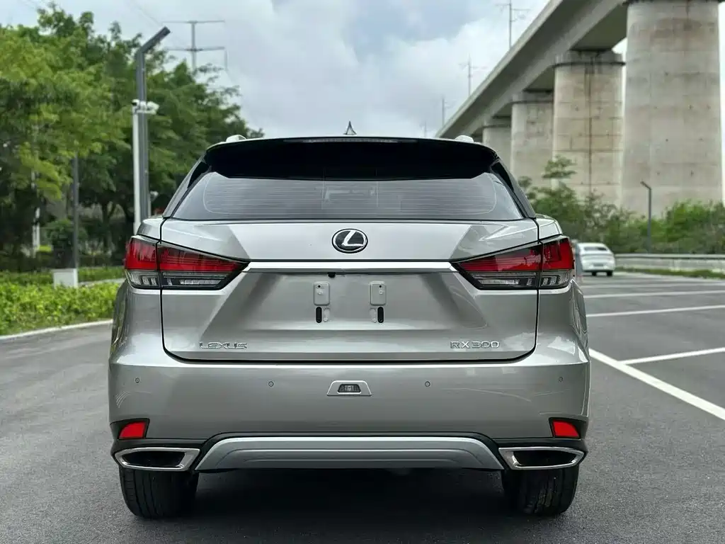 Lexus RX 2022 — фото 9