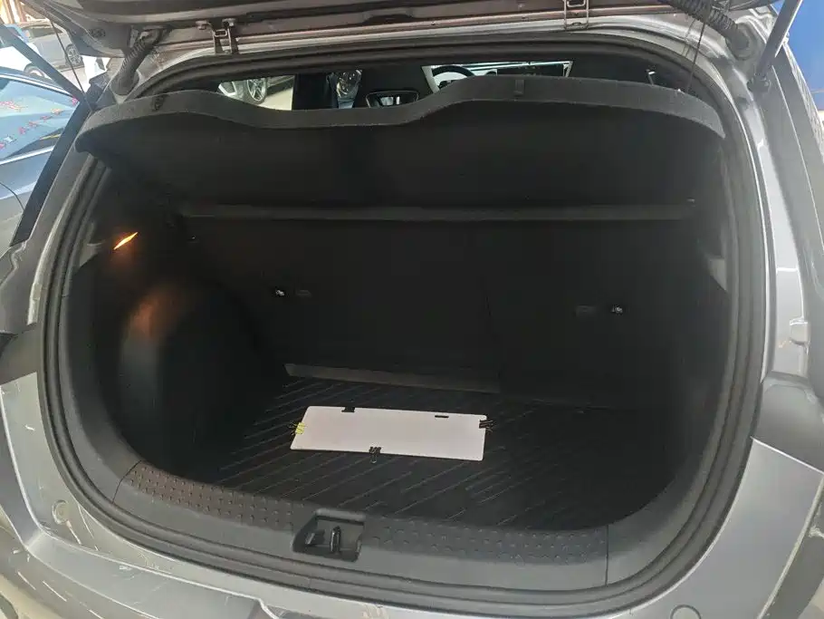 BYD Dolphin 2023