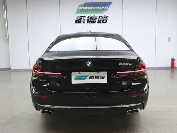 BMW 5 Series 2022