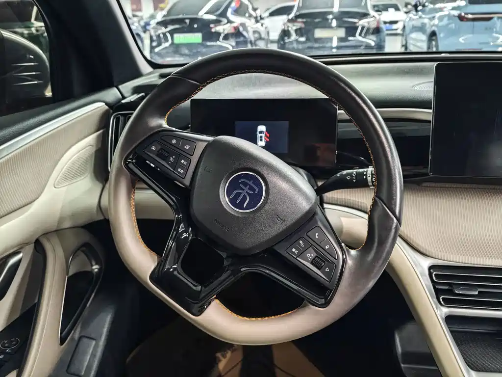 BYD Song Pro New Energy 2024 — фото 5