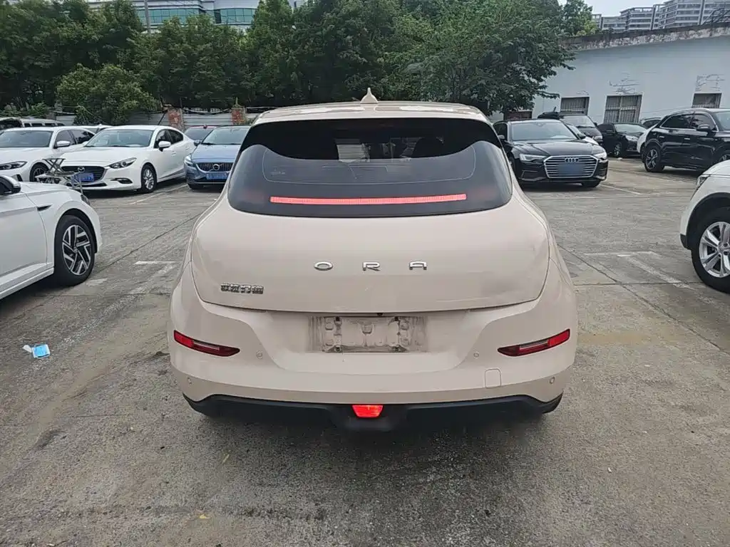 Ora Good Cat 2025