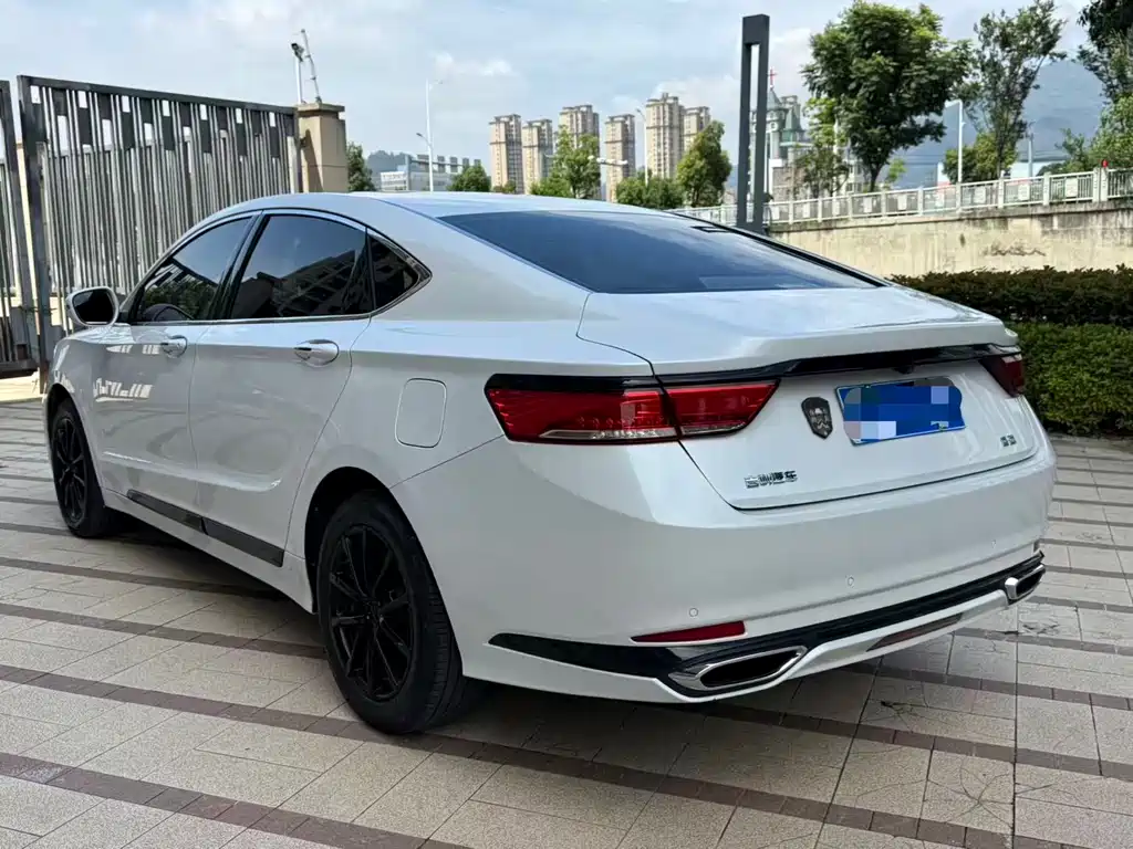 Geely Borui 2020 — фото 11