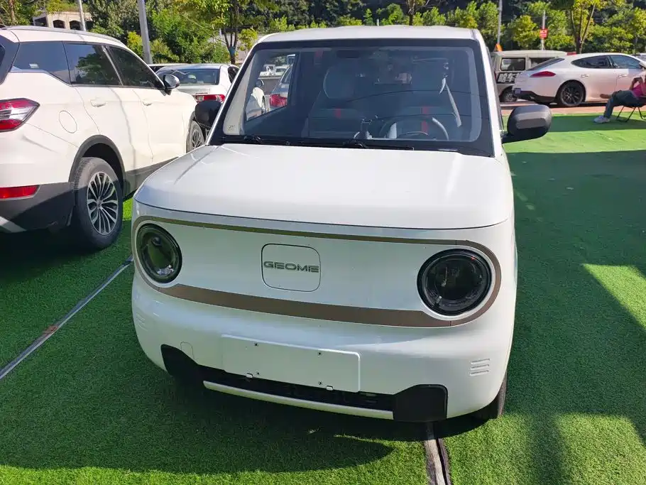 Geely Galaxy Panda 2023