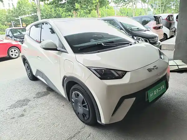 BYD Seagull 2024