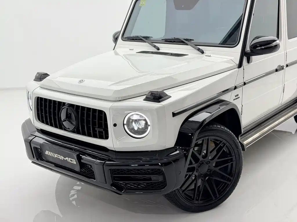 Mercedes-Benz G-Class 2018 — фото 16