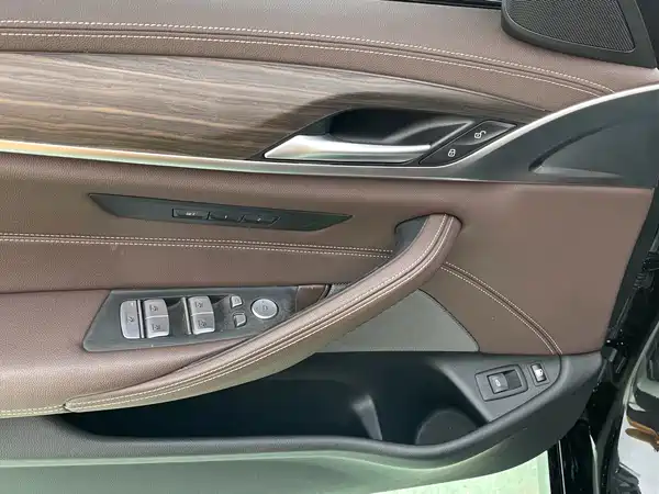 BMW 5 Series New Energy 2021