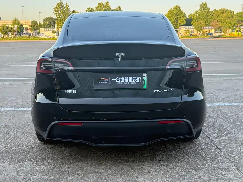 Tesla Model Y 2023 — фото 9