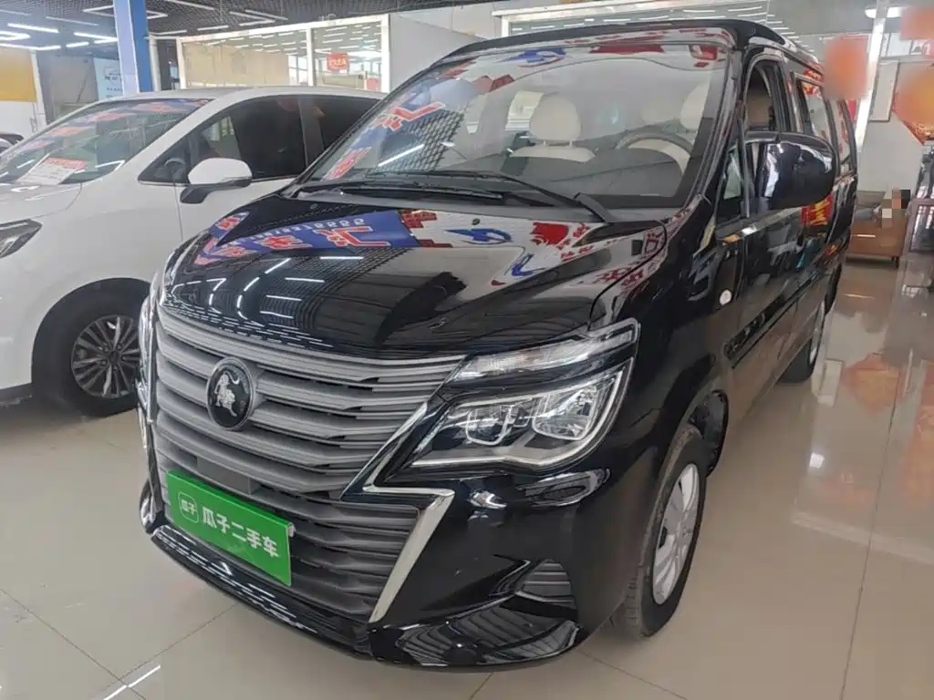 Fengxing Lingzhi 2024