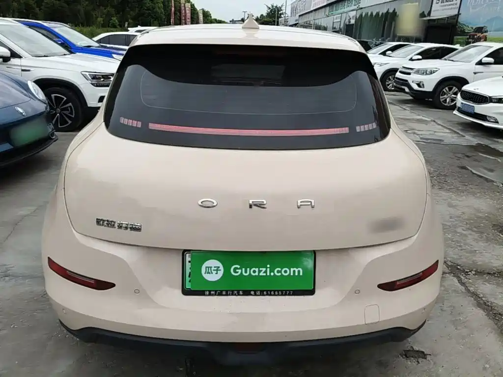 Ora Good Cat 2023