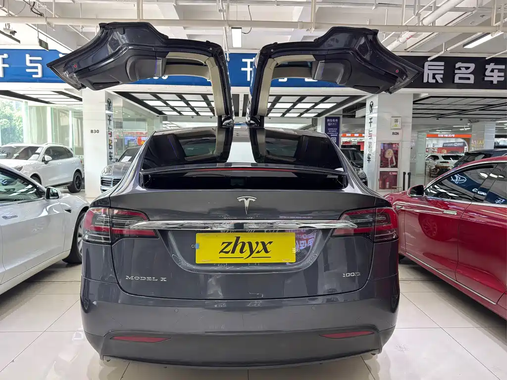 Tesla Model X 2017 — фото 5