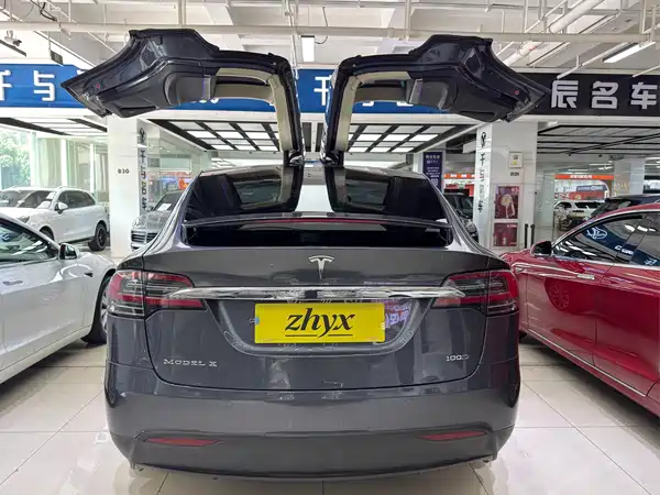 Tesla Model X 2017