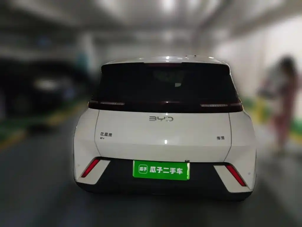 BYD Seagull 2024