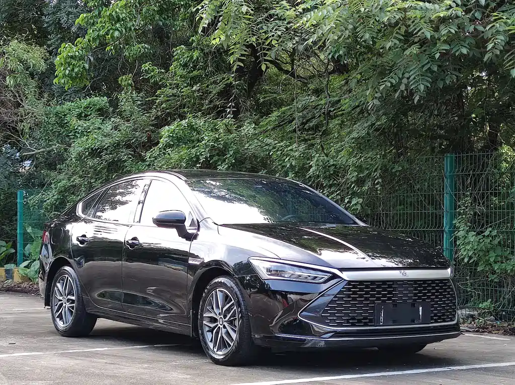 BYD Qin PLUS 2021