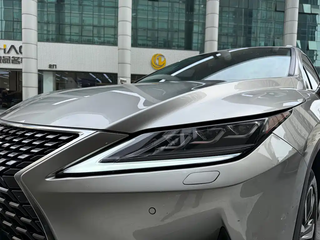 Lexus RX 2020 — фото 17