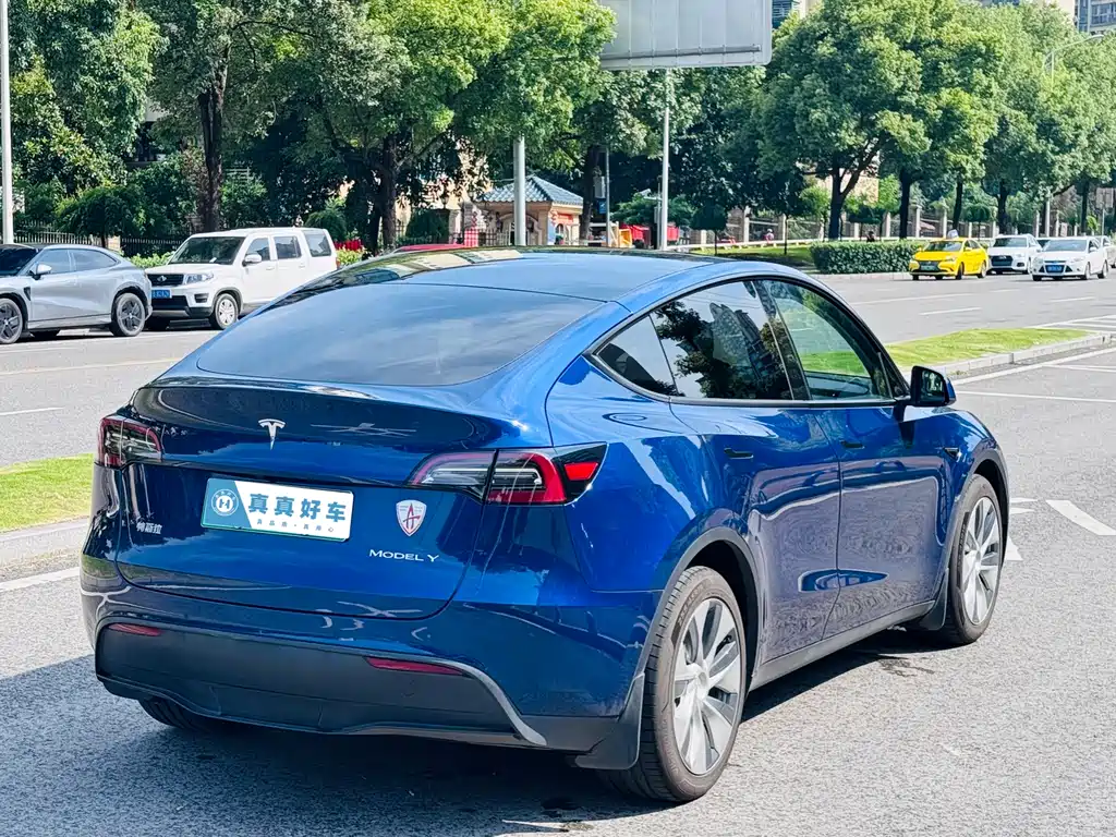 Tesla Model 3 2021 — фото 3