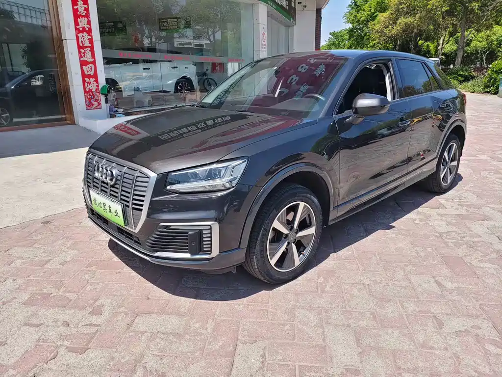 Audi Q2L e-tron 2021
