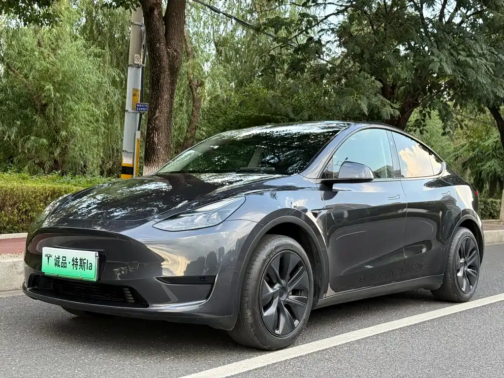 Tesla Model Y 2025 — фото 1