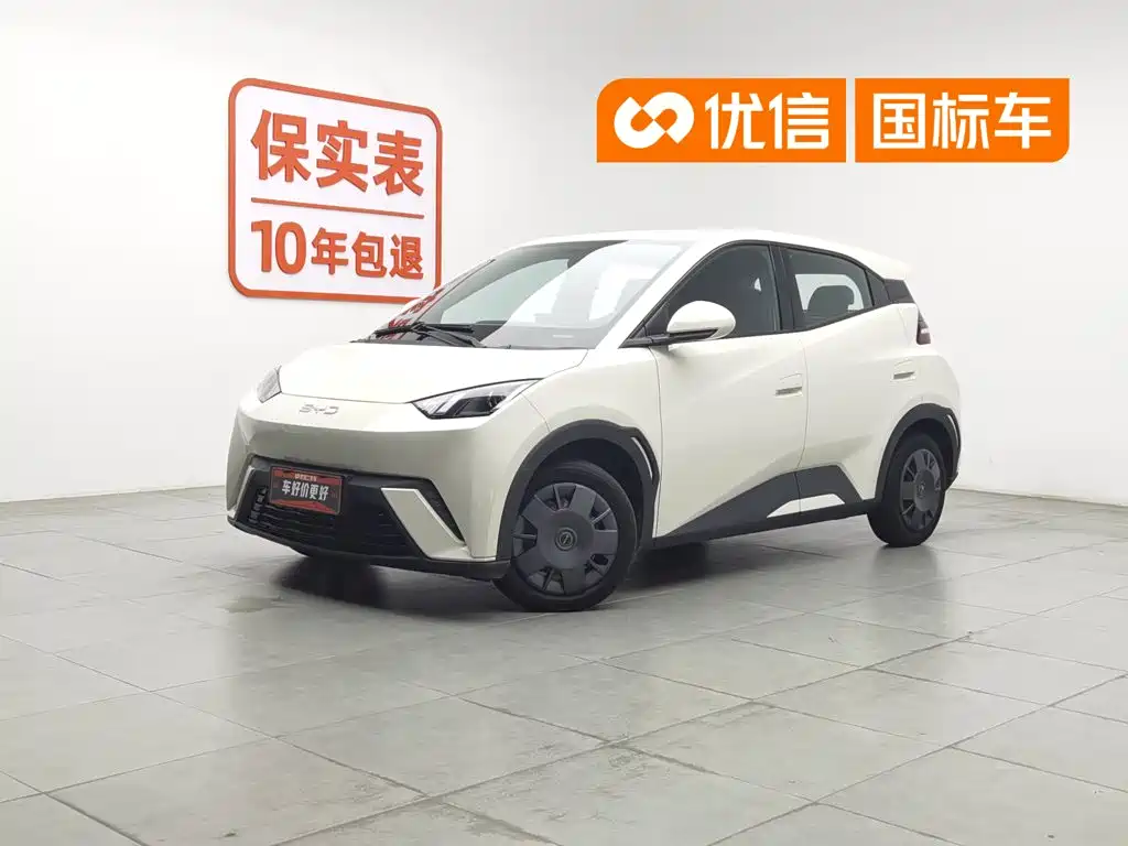 BYD Seagull 2024