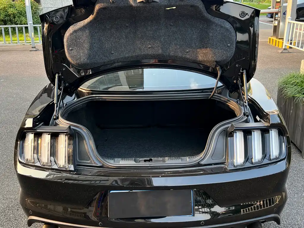 Ford Mustang 2018 — фото 16