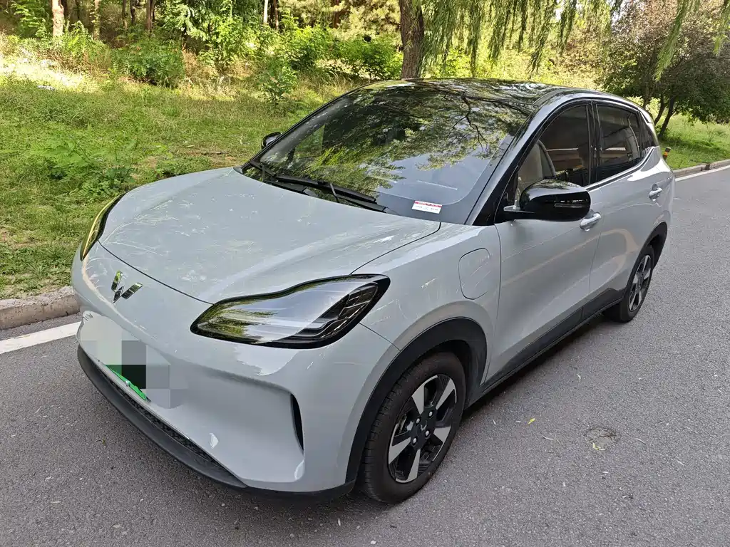 Wuling Bingo PLUS 2024