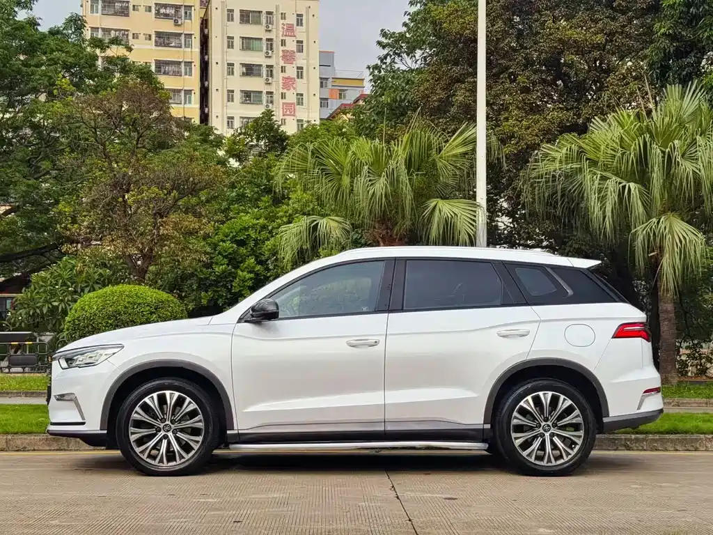 BYD Pro New Energy 2020 — фото 4