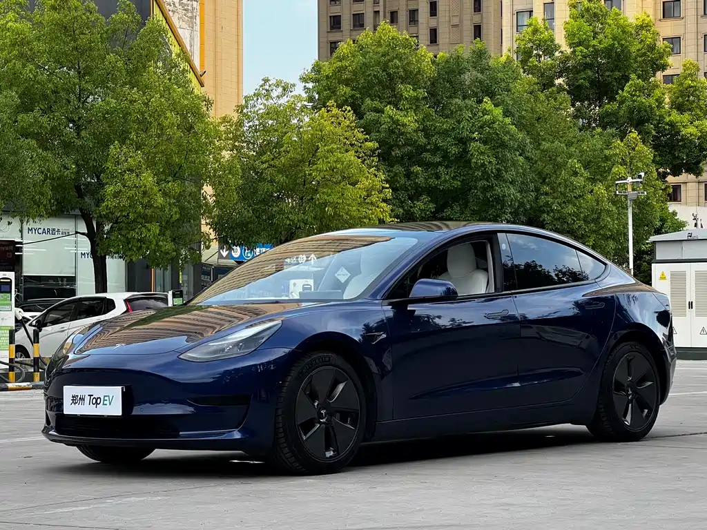 Tesla Model 3 2021